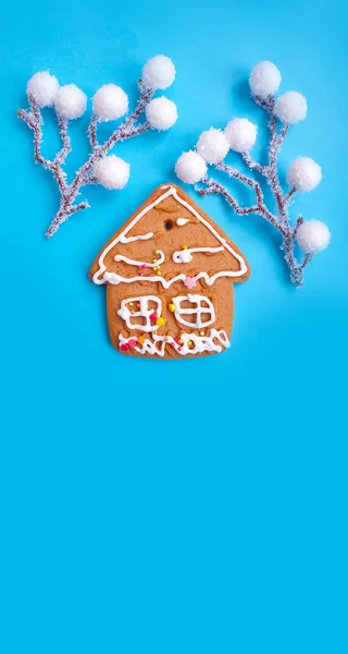 Lebkuchen Weihnachtskekse Auf Farbigem Hintergrund — Stockfoto