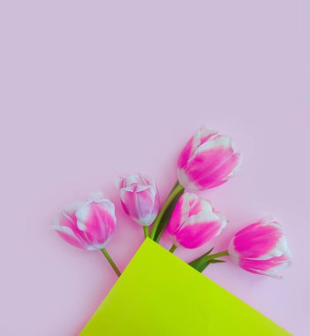  Renkli arka planda lale çiçeği açan bahar