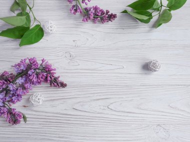 Ahşap arka planda leylak dalı