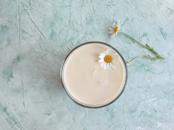 Milk Chamomile Flower Concrete Background — Fotografia de Stock