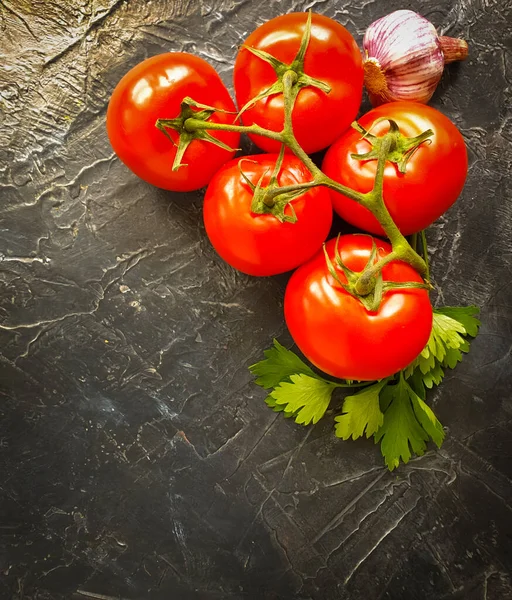 Ramo Tomate Fundo Concreto — Fotografia de Stock