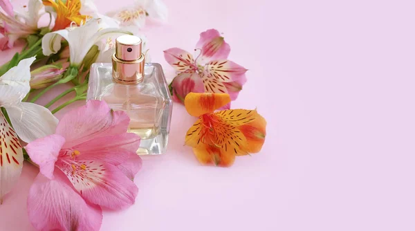 Perfume Flor Garrafa Fundo Colorido — Fotografia de Stock