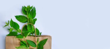 kağıt torba, renkli arkaplanda yapraklar