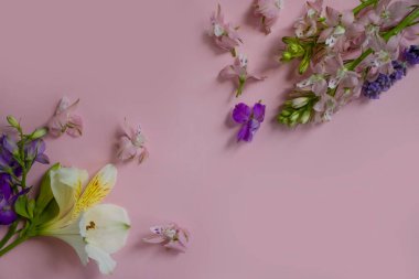 Renkli arka planda güzel bahar çiçekleri