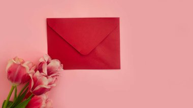 Renkli arkaplanda çiçek lalesi