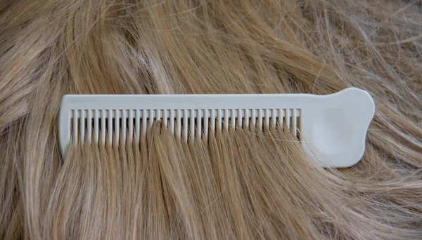 Güzel Saçlı Tarak Saç Dökülmesi Konsepti — Stok fotoğraf
