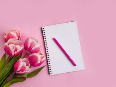 Renkli arkaplanda kağıt defter çiçek lalesi