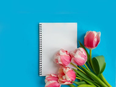 Renkli arkaplanda kağıt defter çiçek lalesi