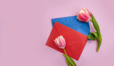 Renkli arkaplanda çiçek lalesi