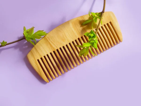 Comb Wooden Green Leaves Colored Background — Stock Photo, Image