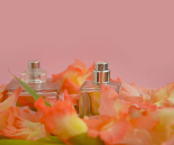 Botella Perfume Flor Sobre Fondo Color — Foto de Stock