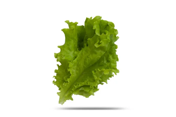 Green Lettuce Leaf Isolated White Background — Stock Photo, Image