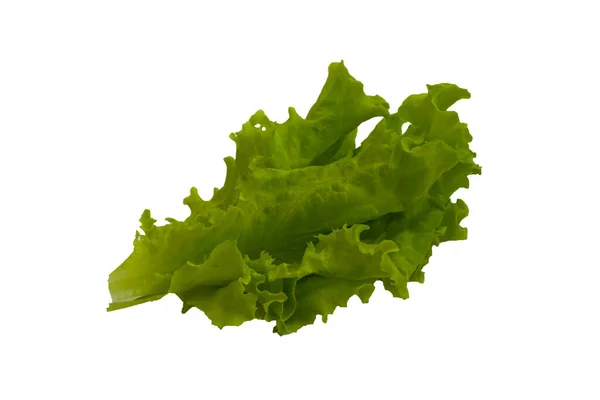 Green Lettuce Leaf Isolated White Background — Stock Photo, Image