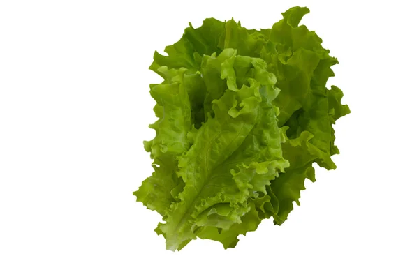 Grön Sallad Blad Isolerad Vit Bakgrund — Stockfoto