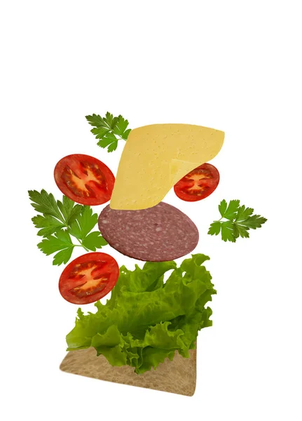 Sandwich Sausage Tomato Flies White Background — Stock Photo, Image