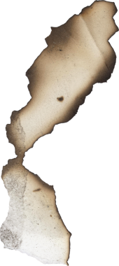 Yanmış kenarları olan sıkıntılı parşömen grafik tasarım projeleri için klasik doku sunuyor, otantik kağıt efektleri eklemek için mükemmel