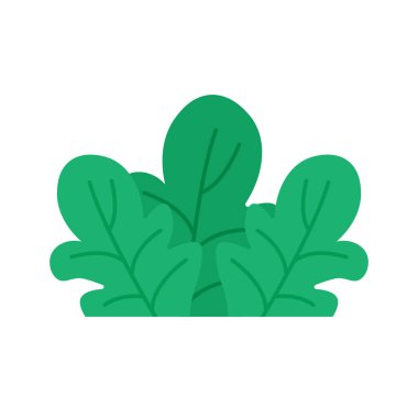 yeşil bitki doğası beyaz arkaplanda izole