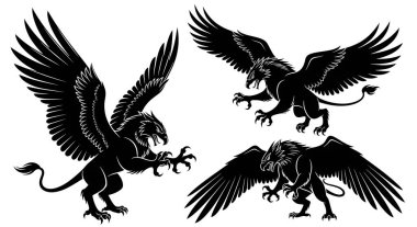 kartalın vektör çizimi