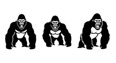 Beyaz arkaplanda goril vektör çizimi.