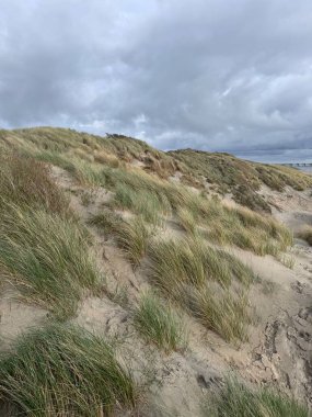 Tall grass grows on coastal sand dunes as the gray sky looms overhead. The scene captures a tranquil beach environment during the early afternoon, creating a peaceful atmosphere.