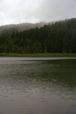 Sakin sular, sık bir ormandaki göldeki yumuşak sabah sisini yansıtır. Uzun çam ağaçları kıyı boyunca dimdik ayakta durarak barışçıl bir atmosfer yaratırlar..