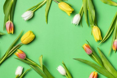 Bahar laleleri alttaki kenar boyunca dizilmiş taze yeşil arka planda fotokopi alanı ile.