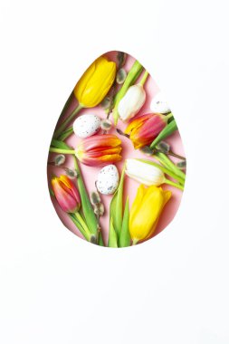 Renkli lalelerle donatılmış minimum Paskalya konsepti beyaz arka planda pastel yumurta şeklinde..