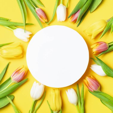 Sarı arkaplanda beyaz yuvarlak kopya alanı olan dairesel bir çerçeveye yerleştirilmiş bahar laleleri..