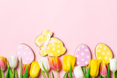 Renkli lalelerle bahar Paskalya kompozisyonu yumuşak pembe arka planda pastel pembe yumurta şeklinde çerçeveleniyor..