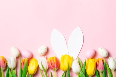 Renkli lalelerle bahar Paskalya kompozisyonu yumuşak pembe arka planda pastel pembe yumurta şeklinde çerçeveleniyor..