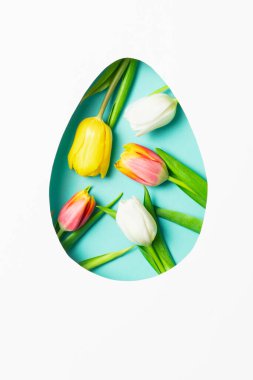 Renkli lalelerle bembeyaz arka planda yumurta şeklindeki minimum Paskalya konsepti..