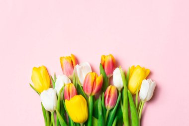 Renkli laleler yumuşak pembe bir zemin üzerinde kenar boyunca dizilmiş minimum yay düz yatıyordu.