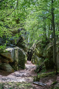 Dovbush yakınlarında yeşil ağaçlara ve mavi gökyüzüne bakan kayalar var. Güneşli bir bahar günü. Ukrayna, İvano-Frankivsk bölgesi