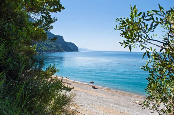 Bay Jaz Beach Budva Background Rocky Hills Covered Trees Calm — Stock Photo, Image