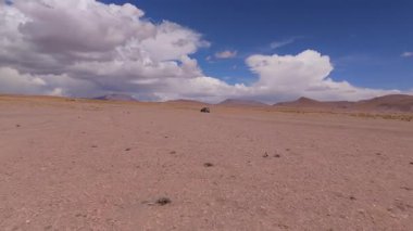 Bolivya 'nın geniş tuz düzlüklerinde, parçalı bulutlu bir gökyüzünün altında tek bir araba dolaşır..