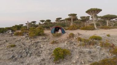 Yemen, Socotra Adası 'ndaki eşsiz Ejderhalar Kan Ağacı' nın ortasındaki tenha bir kamp alanının havadan görünüşü sabahın erken saatlerindeki huzuru yakalıyor..