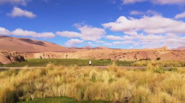 Bolivya 'da, berrak mavi gökyüzünün altındaki yüksek dağlarla çerçevelenmiş bir tuz gölünde tek başına dolaşan bir figür..