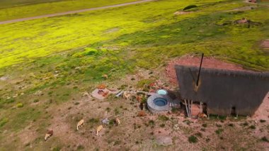 Kırsal bir Peru kırsal kesiminin havadan görünüşü, sazdan çatılı bir ev ve canlı sarı kır çiçeklerinin ortasında yuvarlak bir jakuzi..