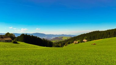 Dağlık bir bölgede otlaklarla çevrili bir arazi.