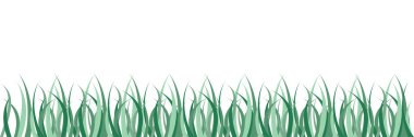 Canlı yeşil çimen sınırı, organik desenli, doğa temalı tasarımlar, ilkbahar afişleri veya taze zemin grafik elementleri için mükemmel..