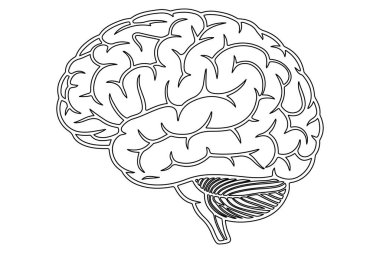 İnsan beyni ikonu. Beyaz arkaplanda izole edilmiş web tasarımı için insan beyin vektör simgesi ana hatları