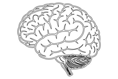 Beyin tasarımı. Beyin ikonu. Vektör illüstrasyonu, izole