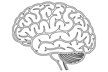 İnsan beyni simgesi beyaz arka plan üzerinde izole anahat tarzı. İnsan organlarını hisse senedi vektör çizim sembolü.