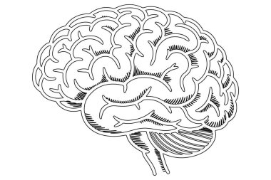 Bilimsel kullanım için basit vektör biçiminde aralıksız çizgi beyin çizimi