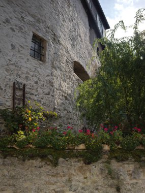 Tarihi Braunfels 'te beyaz söğütle aydınlık çiçek bahçesi Hesse Almanya 09302025