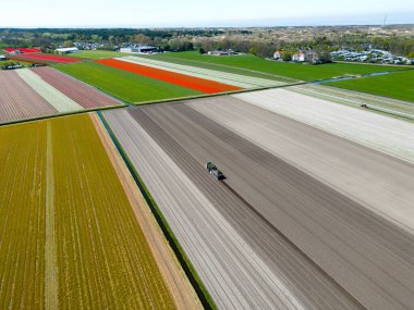 Hollanda 'da lale soğanı ekmek için tarımsal bir makinenin havadan görünüşü