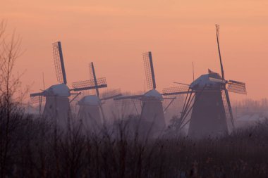 Hollanda Kinderdijk 'teki yel değirmenlerinin manzarası