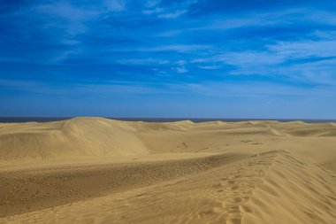 Gran Canaria 'daki Maspaloma kum tepelerinin geniş bir manzarası var. Açık mavi gökyüzü ve arka planda okyanus var. Çarpıcı bir çöl kıyı manzarası..