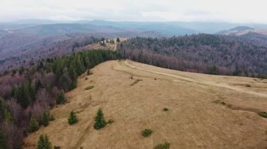 Sonbaharda Ukrayna Karpatları 'nın panoramik hava manzarası. İnsansız hava aracı, uçsuz bucaksız sonbahar ormanlarını yakalıyor ve Doğu Avrupa 'da nefes kesici bir manzara yaratıyor..