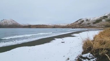 Bering Deniz Dalgaları Hollanda Limanı, Unalaska, Alaska 'daki Karlı Volkanik Kara Kum Sahili' nde. Uzak, sessiz ve el değmemiş Alaska vahşi doğası..